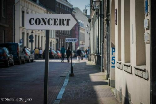 2017concerten4